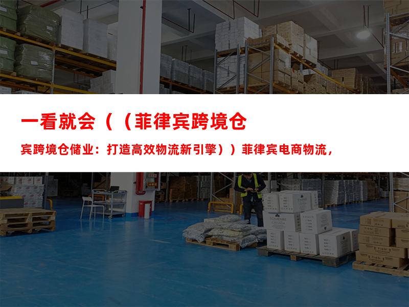 一看就会（（菲律宾跨境仓储业：打造高效物流新引擎））菲律宾电商物流，