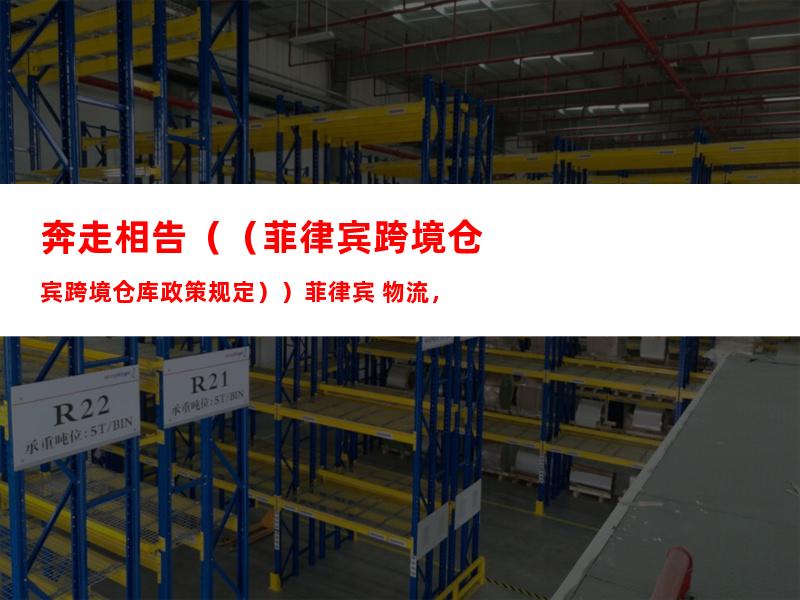 奔走相告（（菲律宾跨境仓库政策规定））菲律宾 物流，
