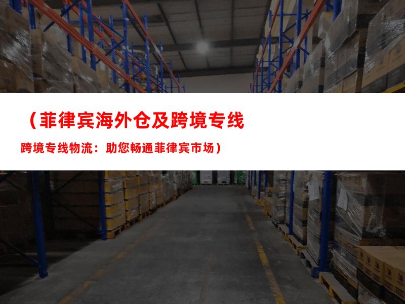 （菲律宾海外仓及跨境专线物流：助您畅通菲律宾市场）