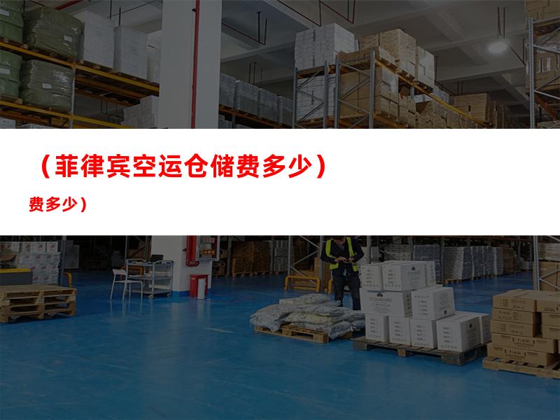 （菲律宾空运仓储费多少）