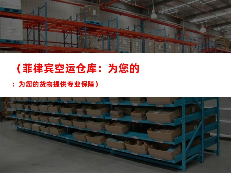 （菲律宾空运仓库：为您的货物提供专业保障）